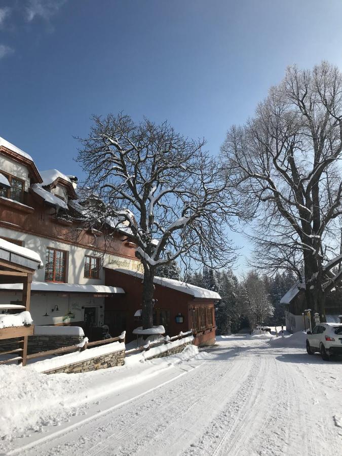 Zum Fally - Landgasthof Kirchberg am Wechsel Εξωτερικό φωτογραφία